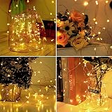 Jsdoin 100 LED Fairy Lights Battery Copper 10M Warm White Indoor Outdoor view 7