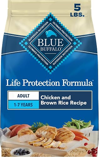 Blue Buffalo Life Protection alimento seco para perros adultos, pollo — Comida para perros