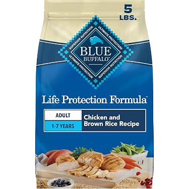 Amazon Best Sellers: Best Dog Food