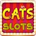 Cats Slots - Slot Machines