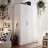 Fddevelop Fenghua Lizhi Wood White Wardrobe Closet with 2 Doors，Bedroom Freestanding Armoire Storage Cabinet with Shelves，Wooden Wardrobe Combination for Hanging Clothes