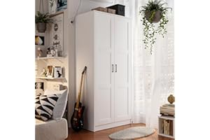 Fddevelop Fenghua Lizhi Wood White Wardrobe Closet with 2 Doors，Bedroom Freestanding Armoire Storage Cabinet with Shelves，Wooden Wardrobe Combination for Hanging Clothes