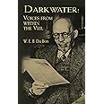 Darkwater: Voices from Within the Veil (Dover Literature: African American)