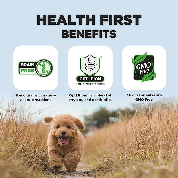 NATURE’S HUG VEGAN DRY DOG FOOD FOR PUPPIES & SMALL BREEDS, 5 LB. BAG, CHICKEN FLAVOR PLANT-BASED PROTEIN KIBBLE, GRAIN-FREE, ALLERGEN-FREE, COMPLETE PROTEIN & BALANCED NUTRITION