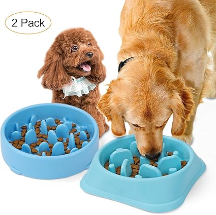 Amazon Com Jasgood Slow Feeder Dog Bowl New Arriving Fun Feeder
