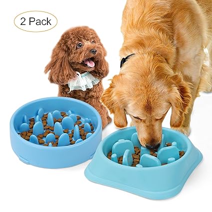 Slow Feeder Dog Bowl Slow Eating Dog Bowl Interactive Feeder Pet