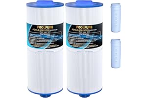 POOLPURE Removable Handle Spa Filter Replaces PJW60TL-OT-F2S, Jacuzzi Prem J300, J400, Unicel 6CH-961, 6541-383, 6540-476, 60 sq.ft Filter Cartridge with Built-in Dispenser, 2PACK