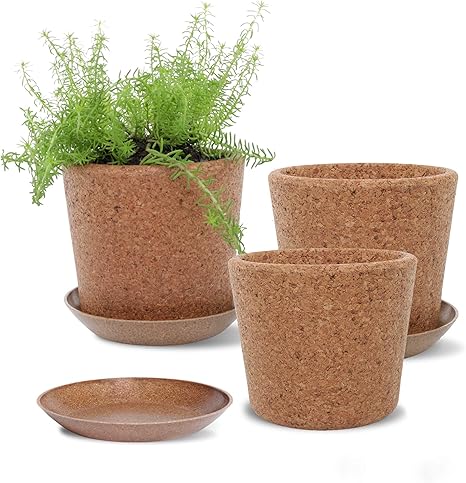 Amazon Com Wild Pact Set Of 3 Cork Plant Pots Large Grain 5 5 Rice Hull Saucers Drainage Hole Garden Planters For Indoor And Outdoor Flowers Herbs Succulents Large Grain Kitchen Dining