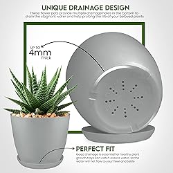 Utopia Home - Plant Pots Indoor with Drainage