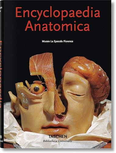 Download Bu-Encyclopaedia Anatomica - Italien, Espagnol, Portugais - PDF