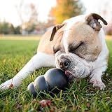 KONG Extreme Dog Toy Fetch & Chew Treat Dispenser Large Dogs view 2