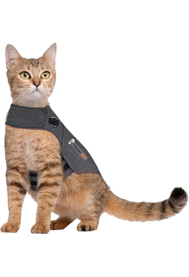 thundershirt petbarn