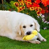 Petface Leah the Little Bird Plush Dog Toy view 6