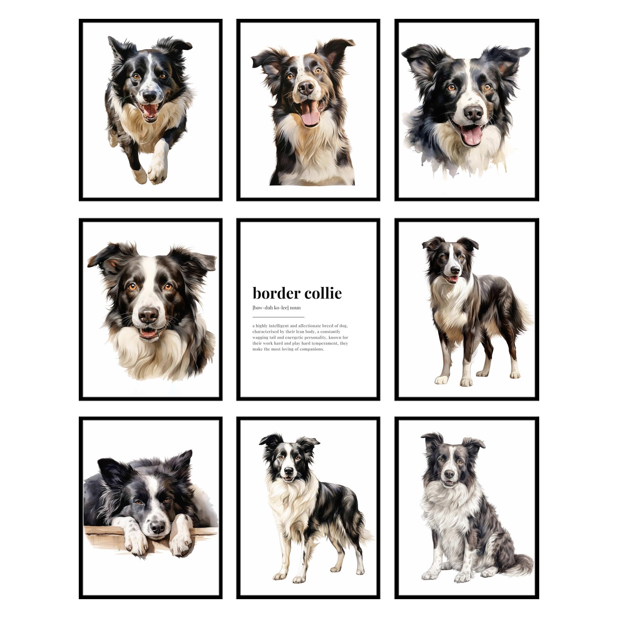 BigWig Prints Border Collie Wall Art - Border