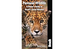 Pantanal Wildlife: A Visitor's Guide To Brazil's Great Wetland
