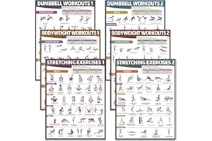 gisgfim 6PCS Workout Posters for Home Gym Dumbbell Bodyweight Stretching Workout Exercise Chart