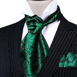 Ailisus Cravat Tie and Lapel Pin Set Mens Paisley