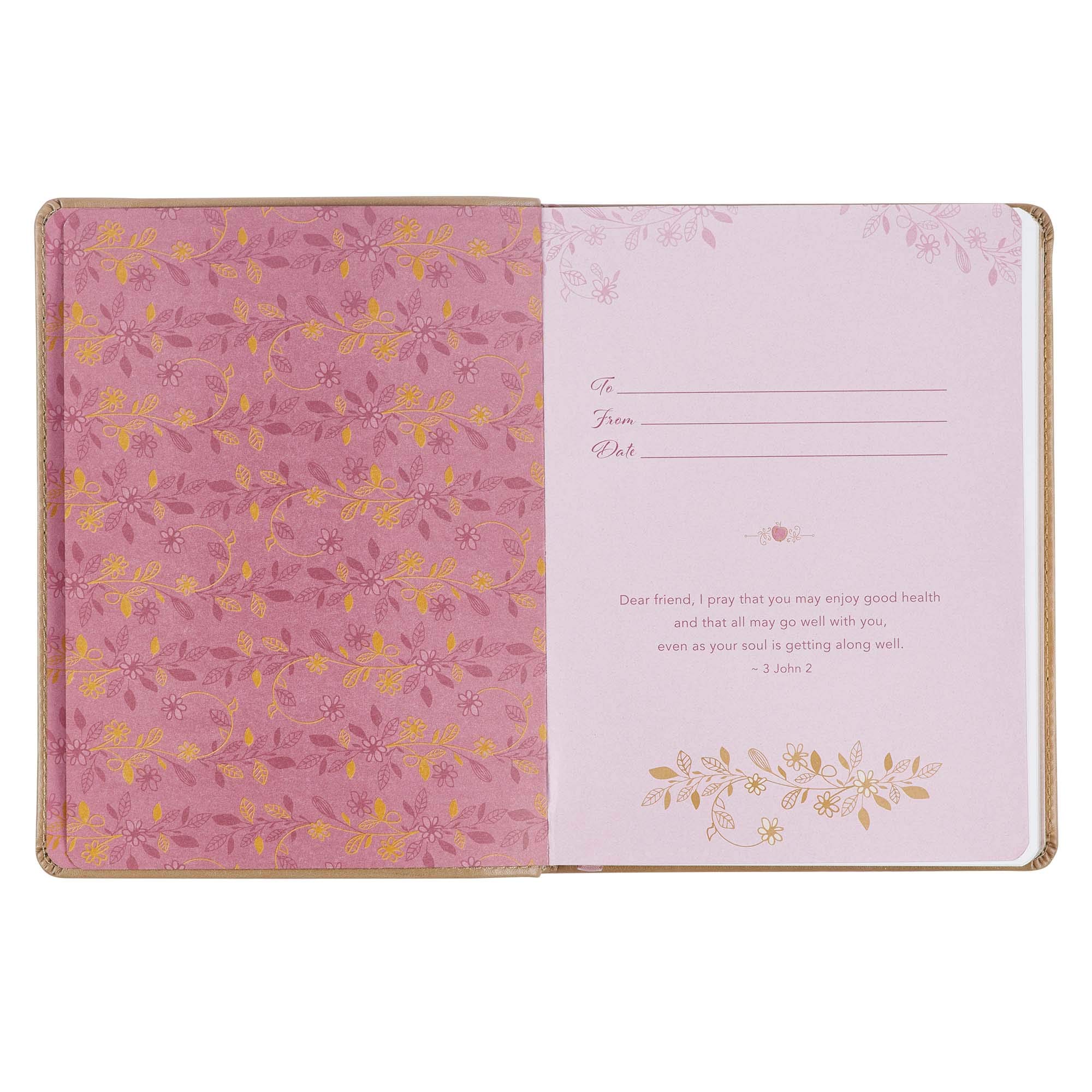 Apples of Gold 366 Daily Devotions for Women to Refresh Your Spirit, Taupe Faux Leather Apples of Gold 366 Daily Devotions for Women to Refresh Your Spirit, Taupe Faux Leather Imitation Leather