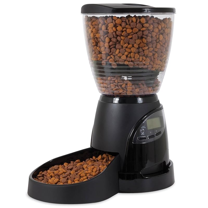 10 Best Cat Food Dispenser & Cat Feeder For Dry Food iHomePet