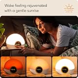 Lumie Bodyclock Rise 100 LED Light Alarm Clock Sunrise Sunset White NBCKE-2000 view 3