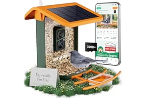 RICHBIRD Smart Bird Feeder with Camera, Solar Powered, Free AI Identify Auto Video Capture & 2K HD Video Bird Feeders for Outdoors with SD Card, Gift for Birdlover