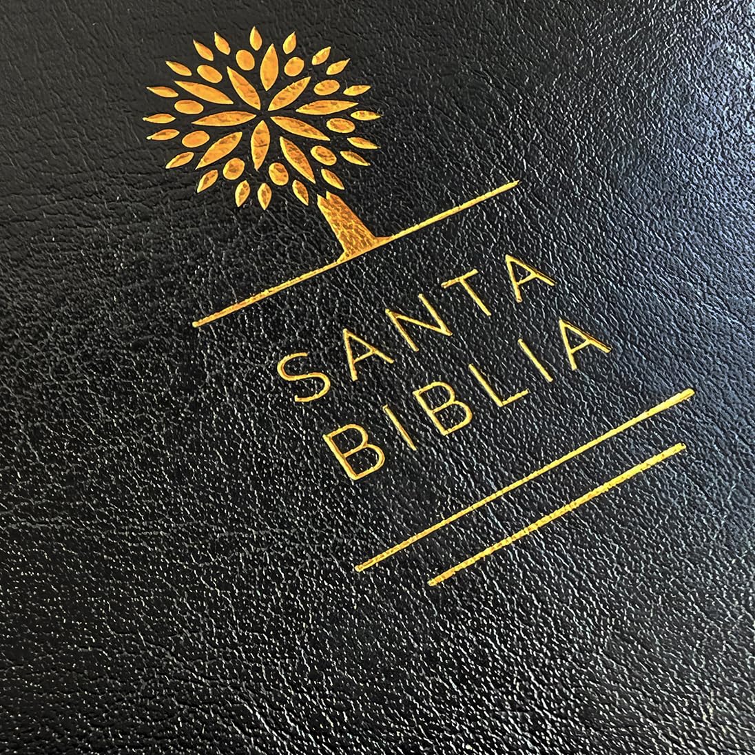 Biblia Reina Valera 1960 letra grande. Símil piel color negro, tamaño manual / Spanish Holy Bible RVR 1960. Handy Size, Large Print, Black Leathersoft (Spanish Edition) Biblia Reina Valera 1960 letra grande. Símil piel color negro, tamaño manual / Spanish Holy Bible RVR 1960. Handy Size, Large Print, Black Leathersoft (Spanish Edition) Bonded Leather
