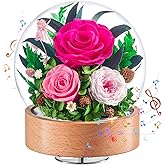 Eterfield Flowers for Delivery Prime, Valentine’s Day Preserved Roses Gifts for Women - Forever Flower in Glass Dome Birthday Gifts for Mom Wife Grandma Her (Hot Pink, Sphere)