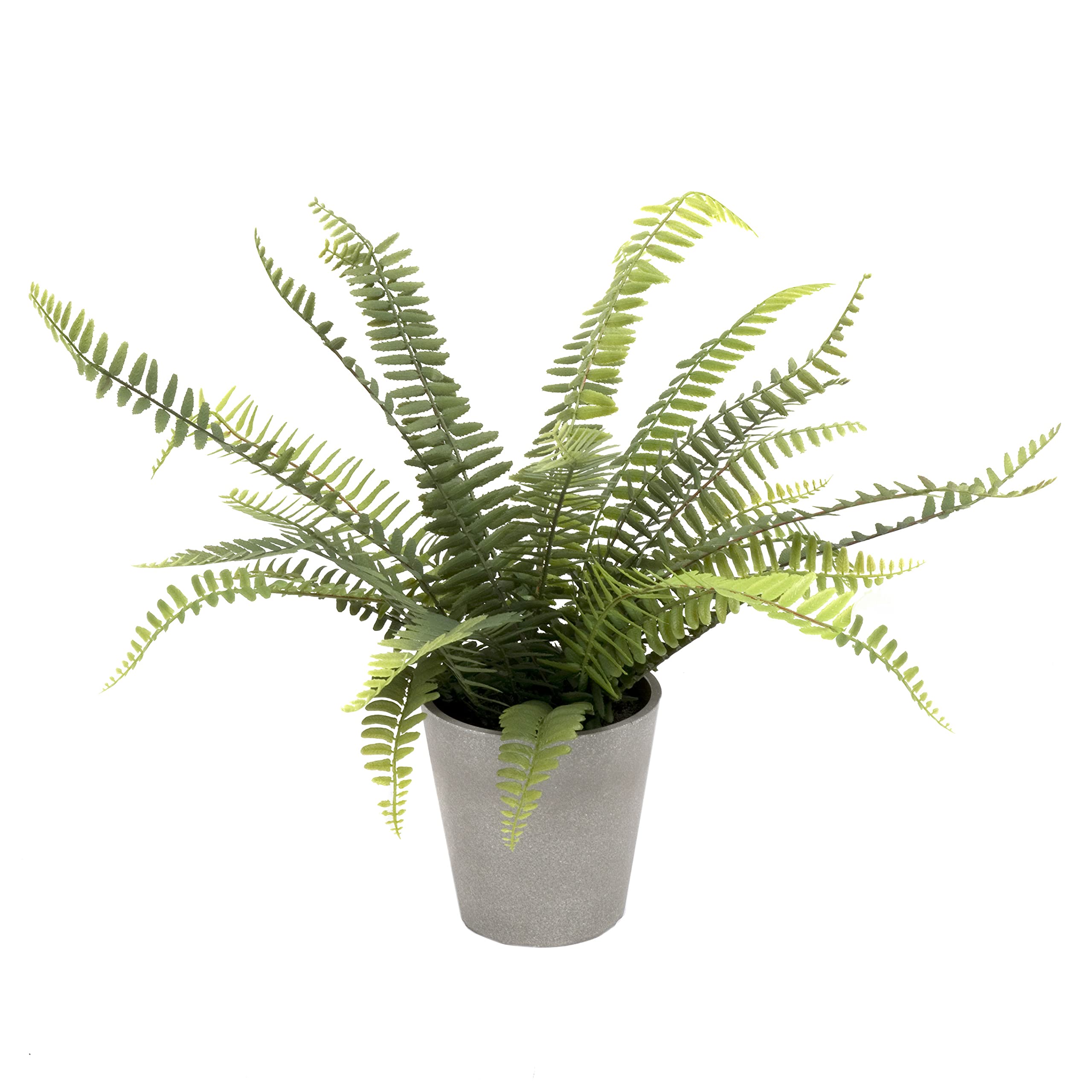 GreenBrokers Artificial Boston Fern in Grey Melamine Pot 45 cms