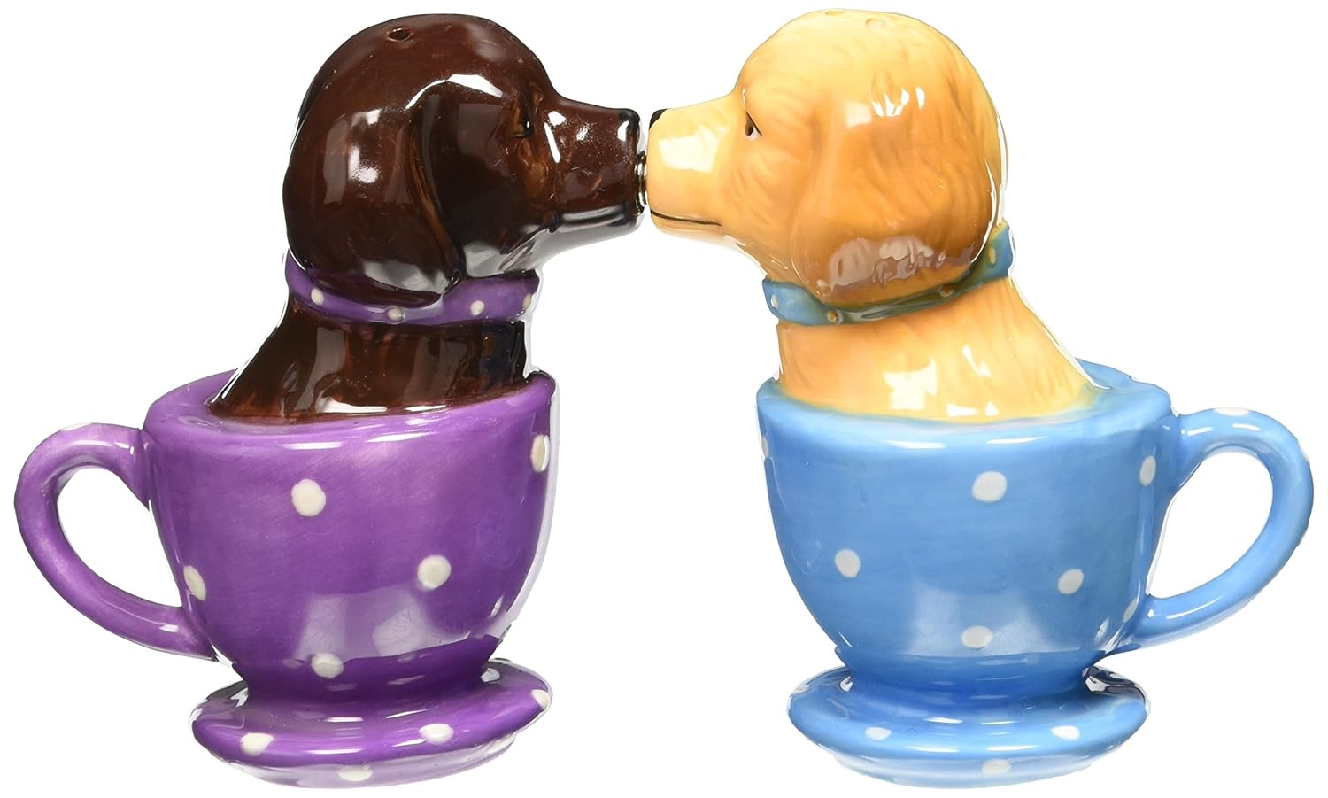 labrador retriever teacup