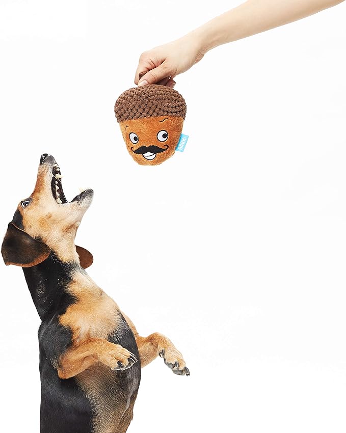 acorn dog toy