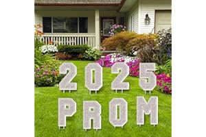 Ertyjikg Prom Send Off Decorations 2025, 8Pcs Sliver Prom 2025 Yard Signs with Stakes, Prom 2025 Graduation Yard Sign for Prom Decorations 2025