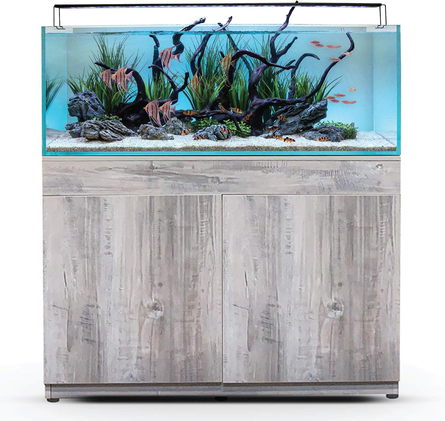 Current USA Serene Freshwater 65 Gallon Complete Fish