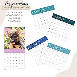 July 2025- December 2026 Wall Calendar 18 Month