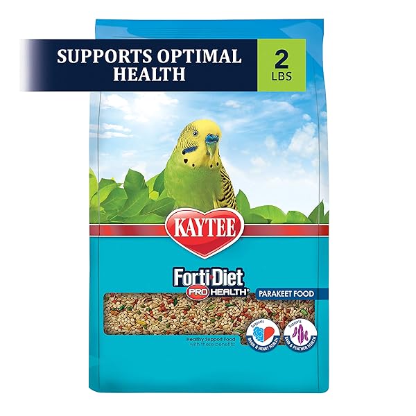 KAYTEE FORTI-DIET PRO HEALTH NOURISH+PROTECT PARAKEET FOOD, COMPREHENSIVE NUTRITION BACKED BY SCIENCE, DIGESTIVE HEALTH, IMMUNE SUPPORT, 2 POUNDS