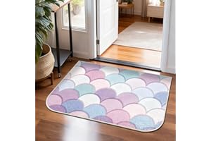 Rug for Entryway, 20'' X 30'' Small Rugs for Bathroom Bedroom Washroom, Door Mat Indoor Entrance, Non Slip Low Pile Washable 