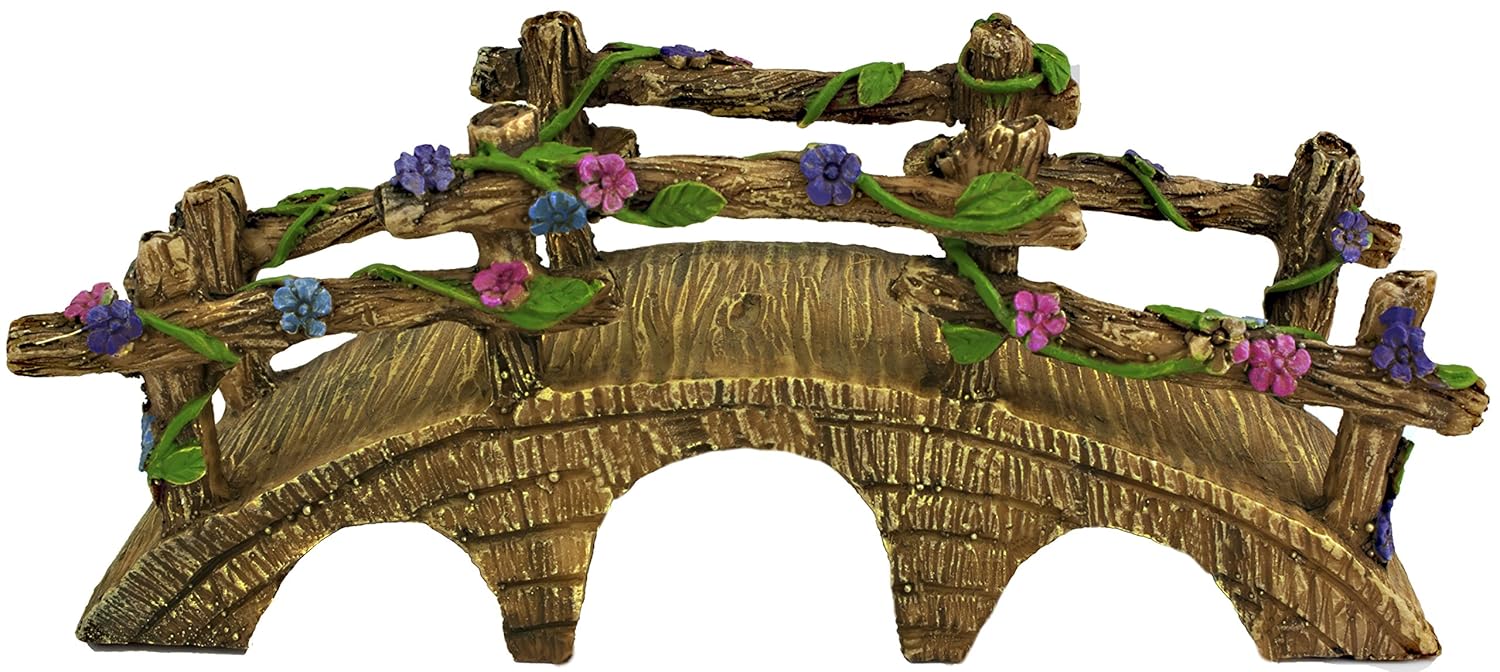 Best miniature vines for fairy garden