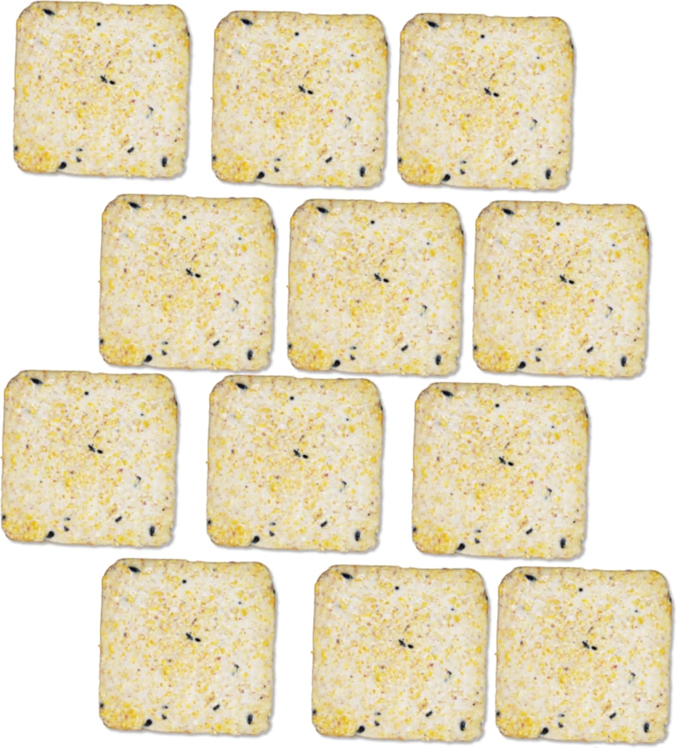 Backyard Birding & Wildlife - Suet Cake 12 Pack | Case of 12 Suet Cakes for Wild Birds (Woodpecker High Energy)