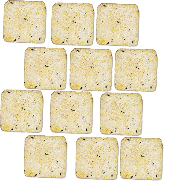 SUET CAKE 12 PACK | CASE OF 12 SUET CAKES FOR WILD BIRDS (WOODPECKER HIGH ENERGY)
