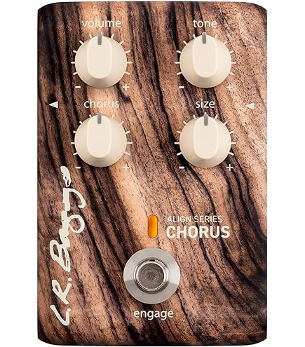 Amazon.com: L.R. Baggs Align Equalizer Acoustic Guitar Effects