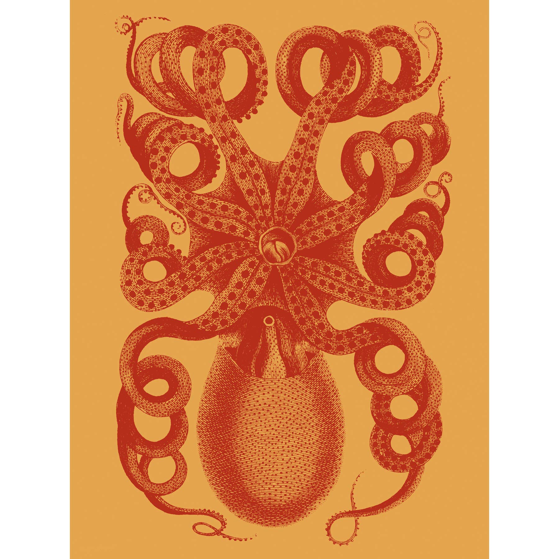 Octopus Coral Yellow Large Wall Art Print Canvas Premium Poster