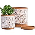D'vine Dev Set of 2 Terracotta Pots, Leaf Pattern Planter Pot, 4 Inch and 6 Inch, Pot with Drainage Hole and Saucer, Terracotta/White, 31-958-T-1