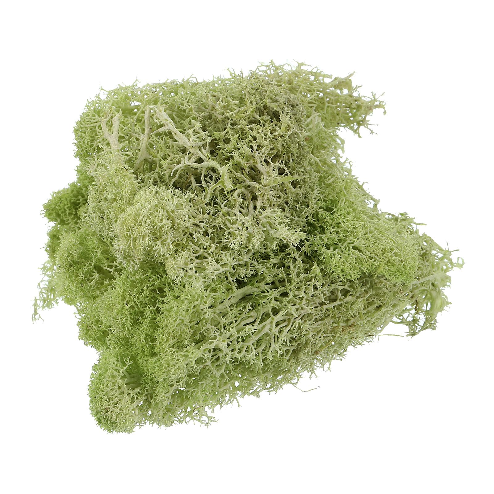 PATIKIL 7 OZ Fake Moss, Preserved Reindeer Decorative Artificial Faux Moss with Box for Indoor Potted Plants Flowerbeds Crafts Home Office Artistic Decoration, Light Yellow Green