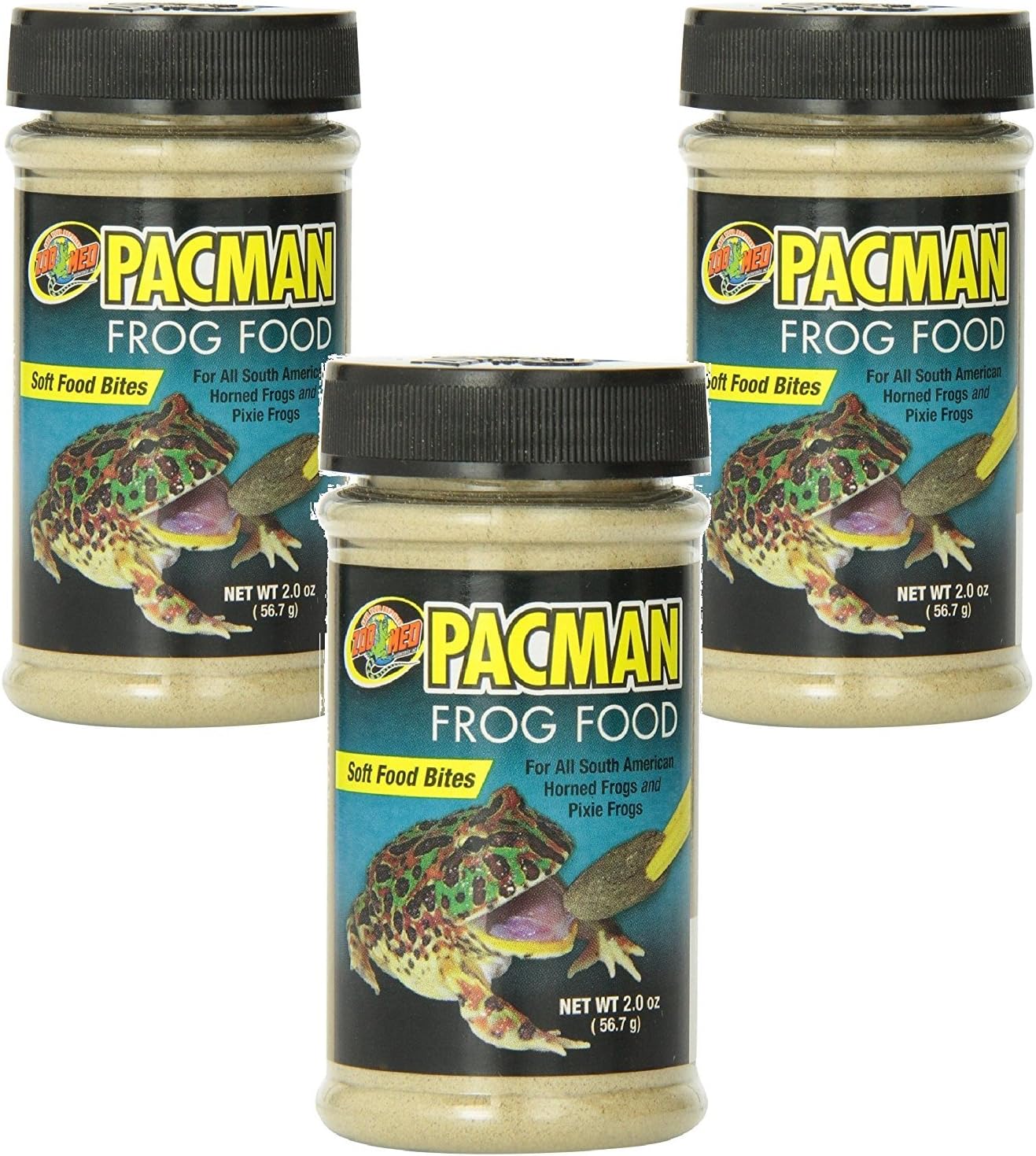 pacman frog aquarium