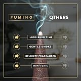 Fumino Coco Cinnamon Incense Cones 15 Pack for Relaxation & Meditation view 6