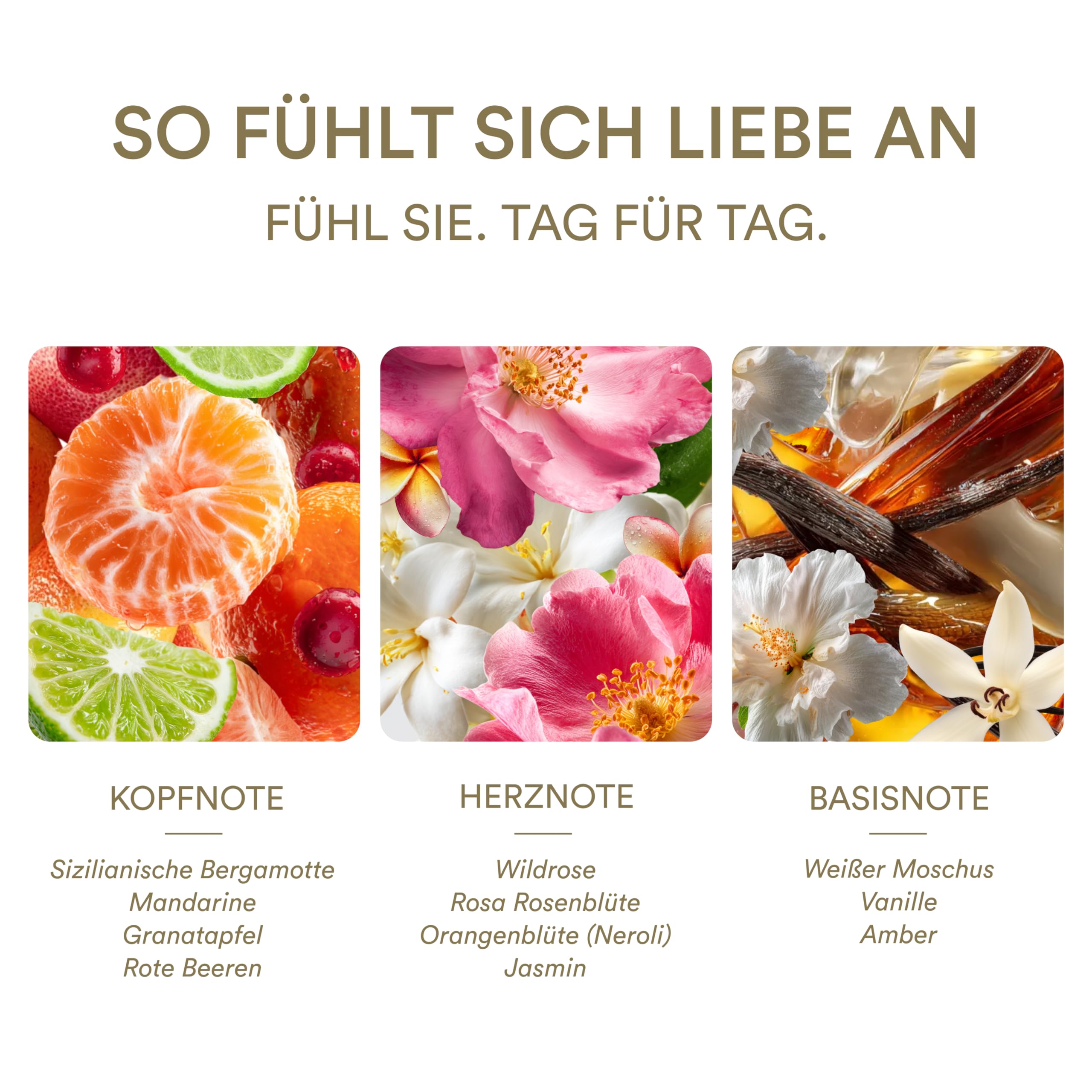 LOVE in a bottle - Parfüm Damen 75ml | Eau de Parfum für Frauen | Parfum Damen | Geburtstagsgeschenk für Frauen | Damen Parfüm | Vaporisateur Spray 4