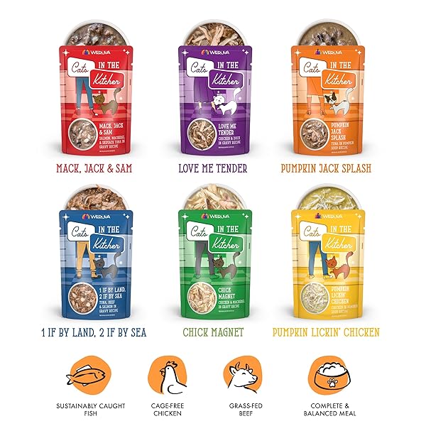 WERUVA CATS IN THE KITCHEN, PANTRY PARTY POUCH VARIETY PACK IN GRAVY CAT FOOD, 3OZ POUCH (PACK OF 12)