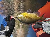 Review Image by rhy rhy