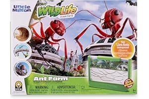 Uncle Milton Ant Farm Antopia Rainforest Ant Habitat - Observe Live Ants - STEM -Nature Learning Toy Green For 6 - 15 years