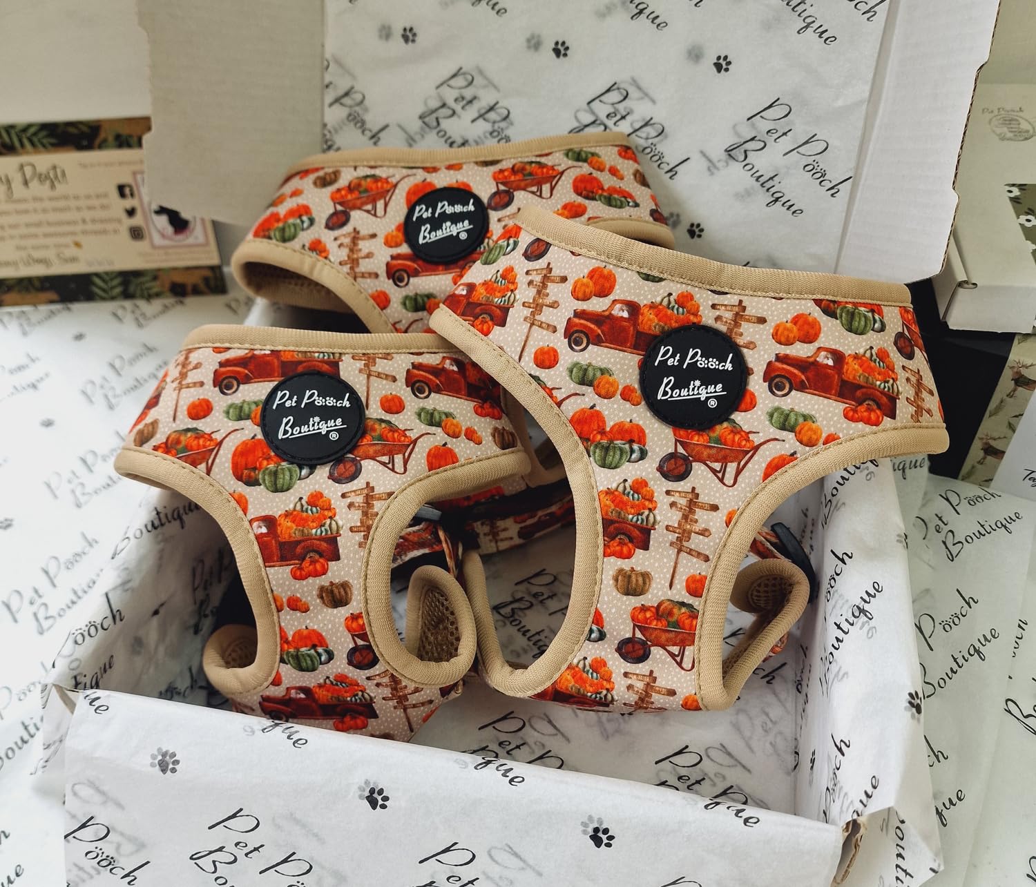 Pumpkin Patch Dog Harness M