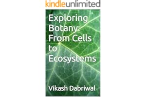 kindle best category lists